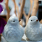 Elric Ceramic Bird Figurines (Set of 2)