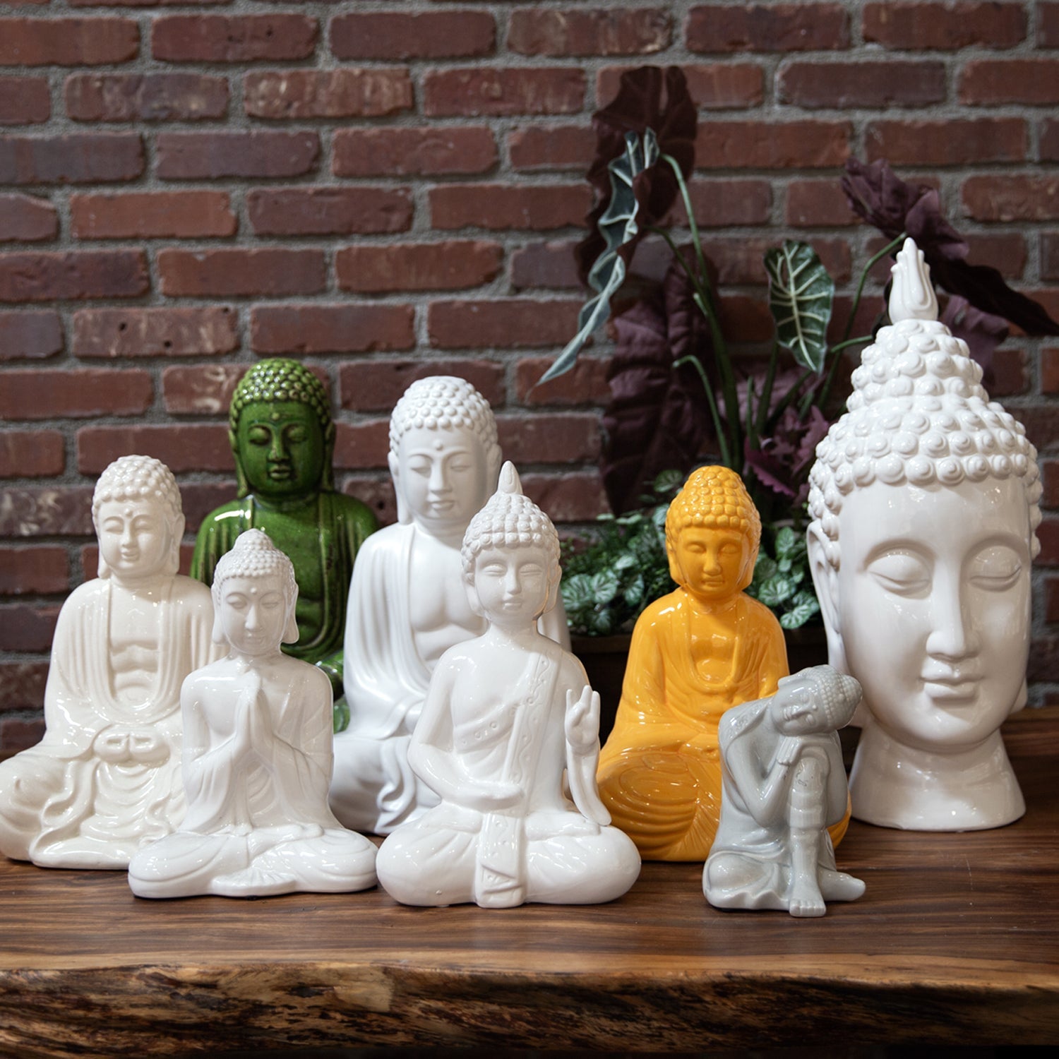 Buddhas